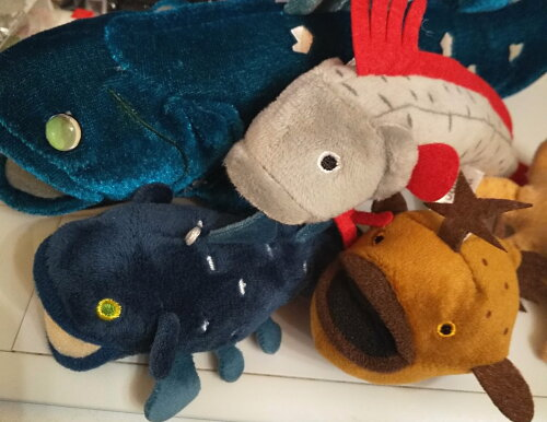 深海魚シリーズ